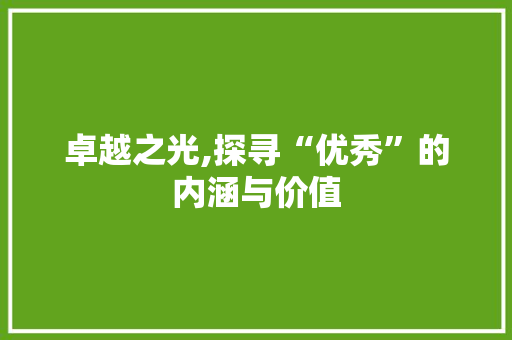 卓越之光,探寻“优秀”的内涵与价值