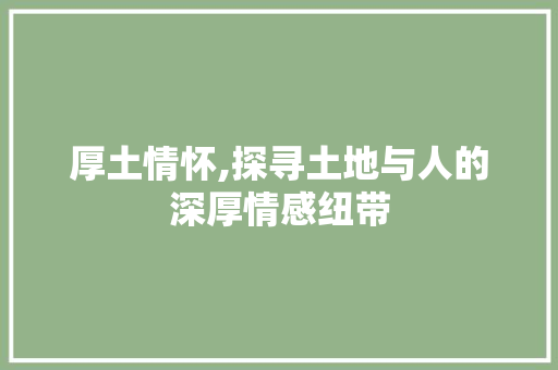 厚土情怀,探寻土地与人的深厚情感纽带