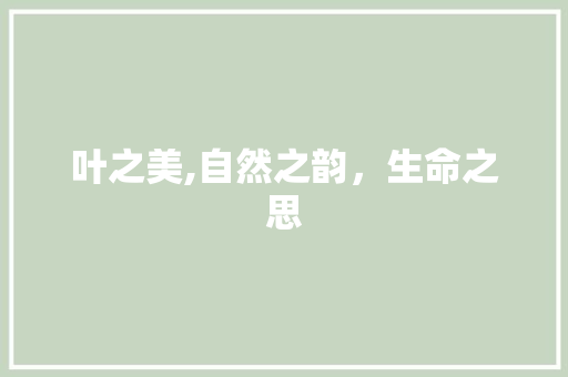 叶之美,自然之韵，生命之思