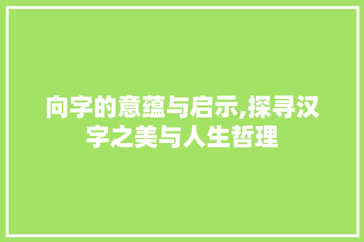 向字的意蕴与启示,探寻汉字之美与人生哲理