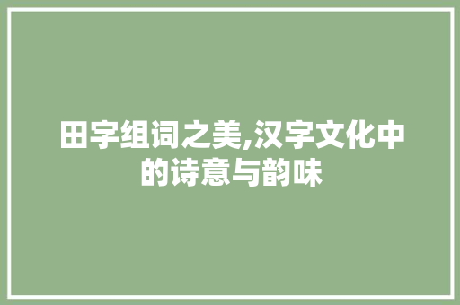 田字组词之美,汉字文化中的诗意与韵味
