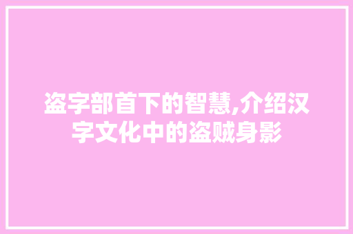 盗字部首下的智慧,介绍汉字文化中的盗贼身影