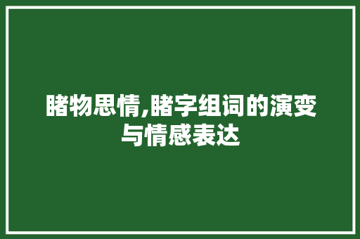 睹物思情,睹字组词的演变与情感表达