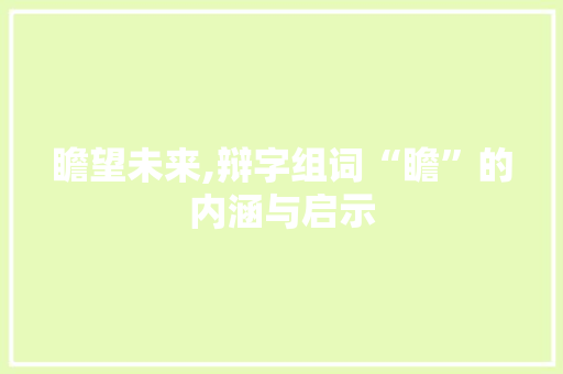 瞻望未来,辩字组词“瞻”的内涵与启示