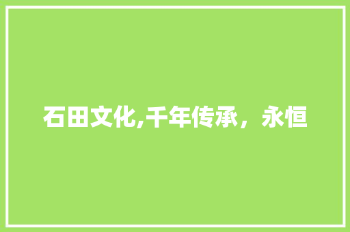 石田文化,千年传承，永恒