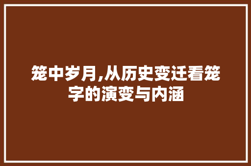 笼中岁月,从历史变迁看笼字的演变与内涵