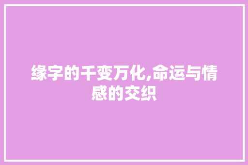 缘字的千变万化,命运与情感的交织