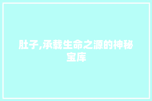 肚子,承载生命之源的神秘宝库