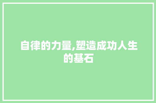 自律的力量,塑造成功人生的基石
