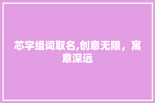 芯字组词取名,创意无限，寓意深远