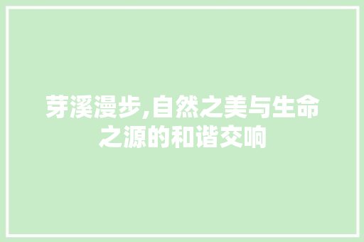 芽溪漫步,自然之美与生命之源的和谐交响