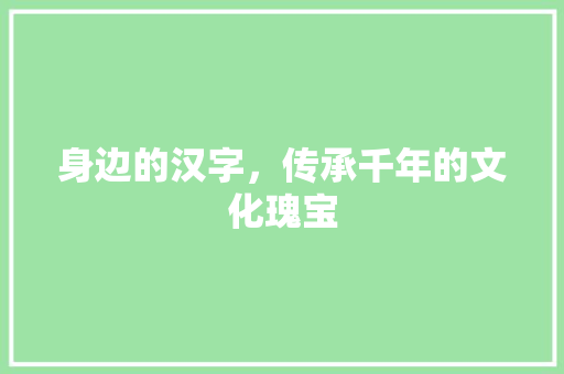 身边的汉字，传承千年的文化瑰宝