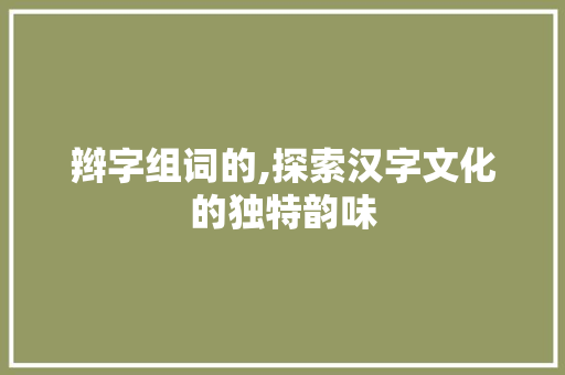 辫字组词的,探索汉字文化的独特韵味