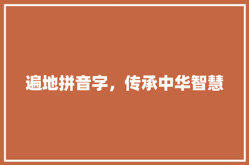 遍地拼音字，传承中华智慧
