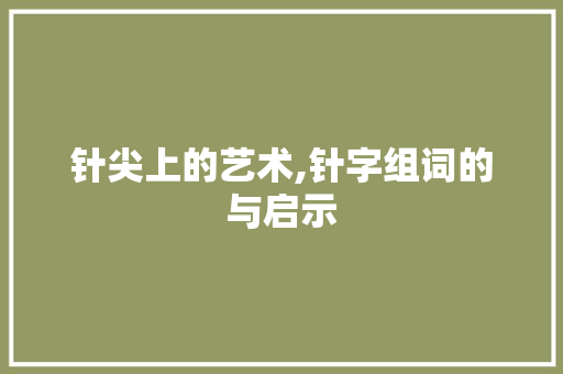 针尖上的艺术,针字组词的与启示
