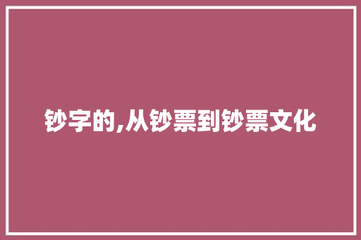 钞字的,从钞票到钞票文化