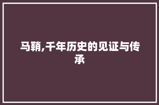 马鞘,千年历史的见证与传承