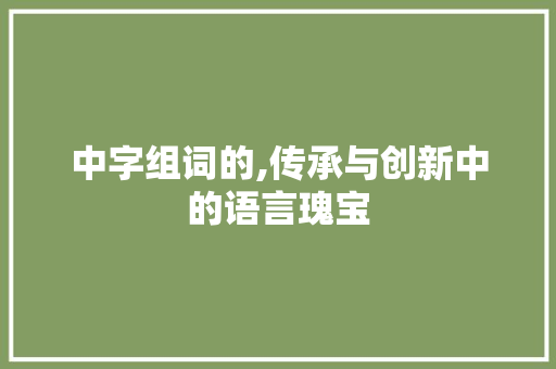 中字组词的,传承与创新中的语言瑰宝