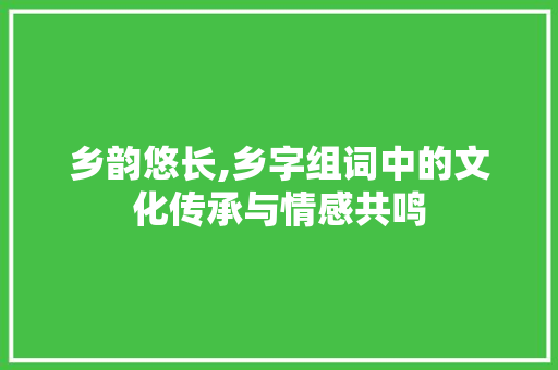 乡韵悠长,乡字组词中的文化传承与情感共鸣