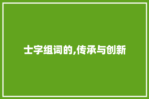 士字组词的,传承与创新