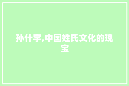 孙什字,中国姓氏文化的瑰宝