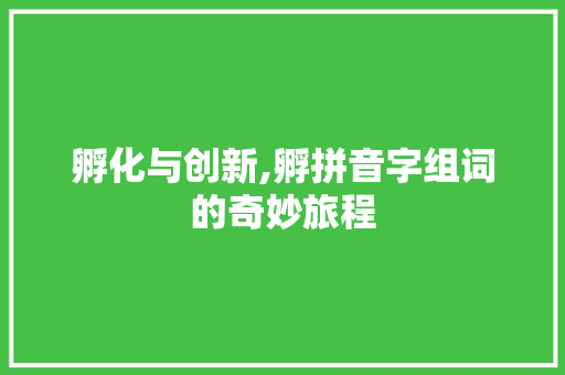 孵化与创新,孵拼音字组词的奇妙旅程