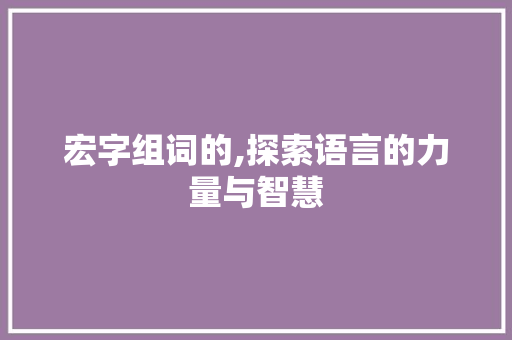 宏字组词的,探索语言的力量与智慧