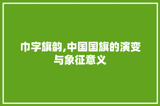 巾字旗韵,中国国旗的演变与象征意义