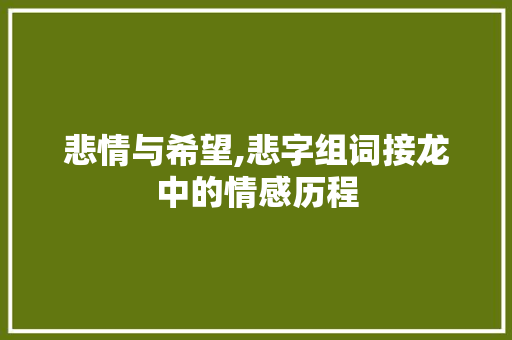 悲情与希望,悲字组词接龙中的情感历程