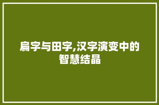 扁字与田字,汉字演变中的智慧结晶 社交媒体