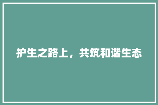 护生之路上，共筑和谐生态