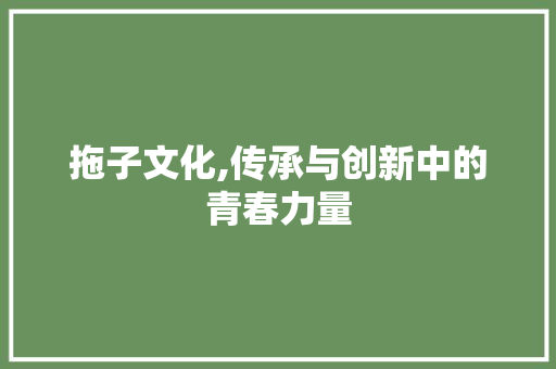 拖子文化,传承与创新中的青春力量