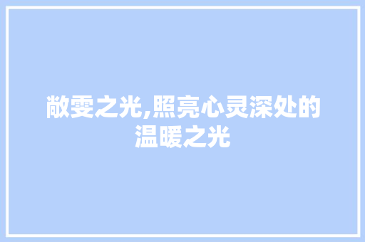 敞雯之光,照亮心灵深处的温暖之光 社交媒体