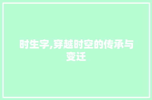 时生字,穿越时空的传承与变迁 项目报告