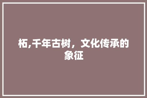 柘,千年古树，文化传承的象征