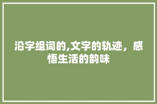 沿字组词的,文字的轨迹，感悟生活的韵味