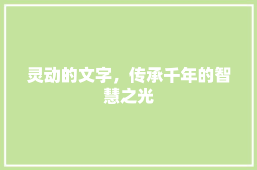 灵动的文字，传承千年的智慧之光