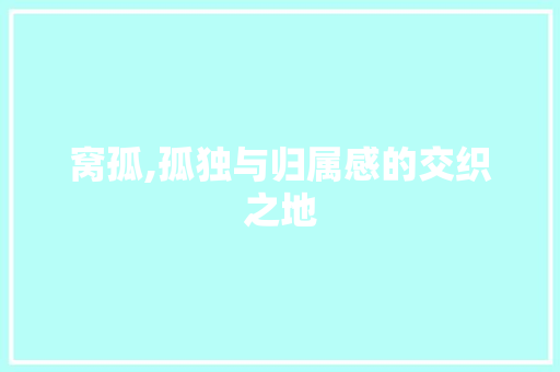 窝孤,孤独与归属感的交织之地