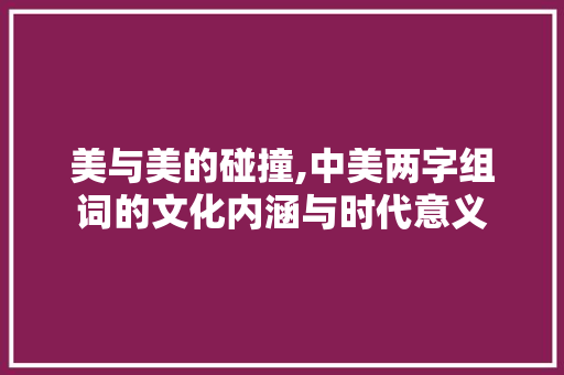 美与美的碰撞,中美两字组词的文化内涵与时代意义