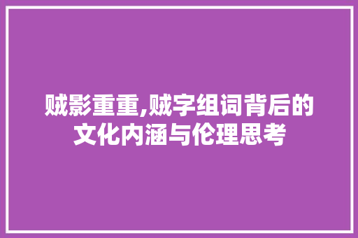 贼影重重,贼字组词背后的文化内涵与伦理思考 工作总结