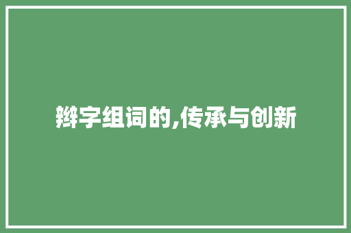 辫字组词的,传承与创新