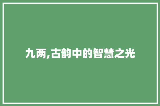 九两,古韵中的智慧之光