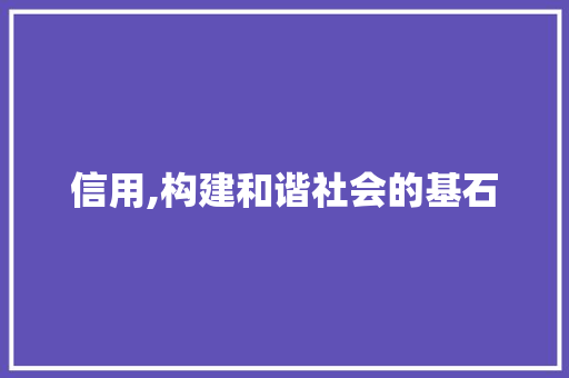 信用,构建和谐社会的基石