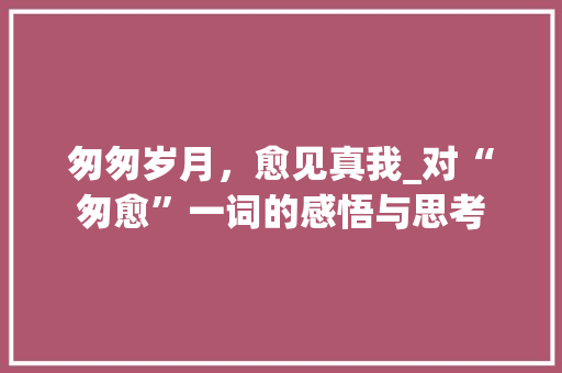 匆匆岁月，愈见真我_对“匆愈”一词的感悟与思考