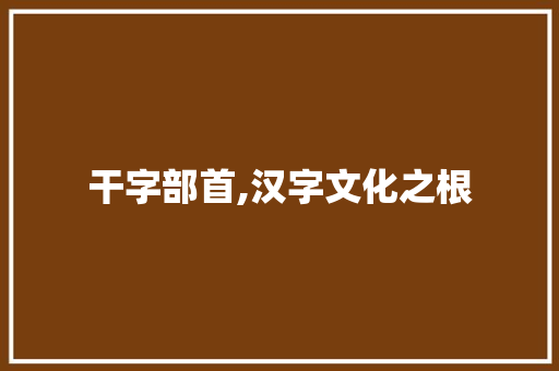 干字部首,汉字文化之根