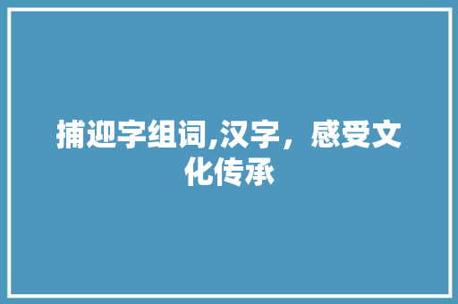 捕迎字组词,汉字，感受文化传承