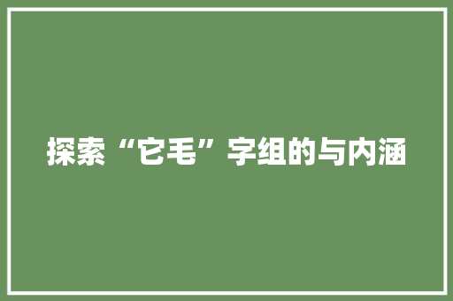探索“它毛”字组的与内涵 工作总结