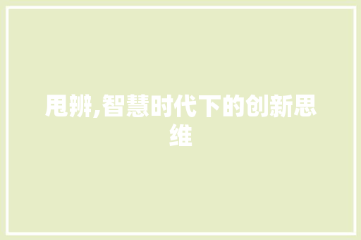 甩辨,智慧时代下的创新思维