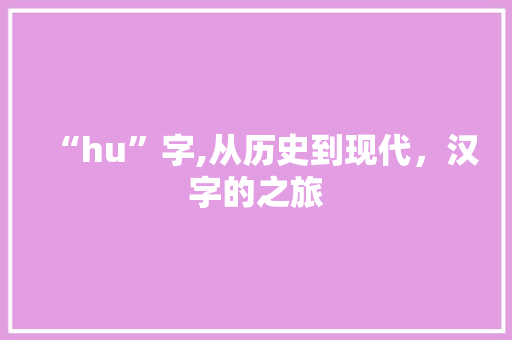 “hu”字,从历史到现代，汉字的之旅 项目报告