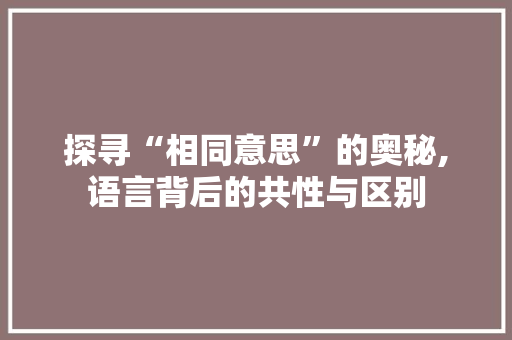 探寻“相同意思”的奥秘,语言背后的共性与区别